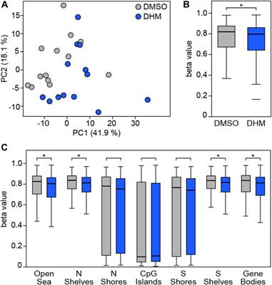 Identification of dihydromyricetin as a natural DNA methylation inhibitor with rejuvenating activity in human skin